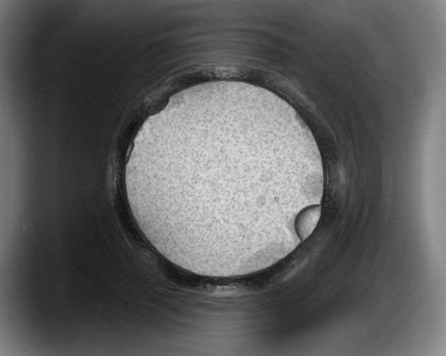X0000087590645200705251902