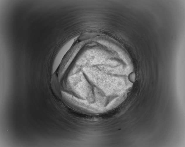 X0000087590646200705251902