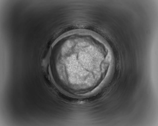 X0000087590647200705251902