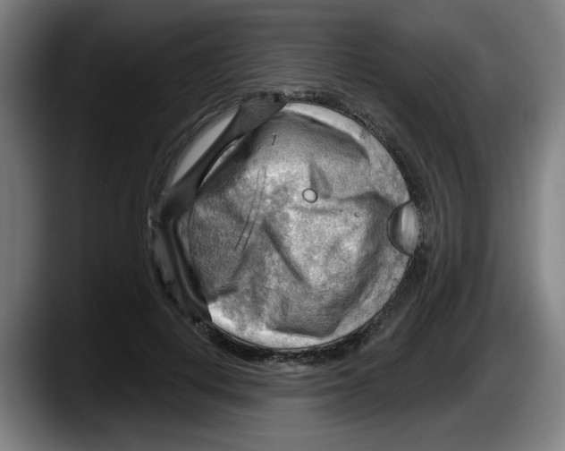 X0000087590648200705251902