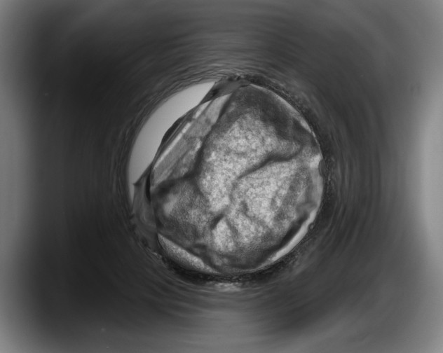 X0000087590649200705251902