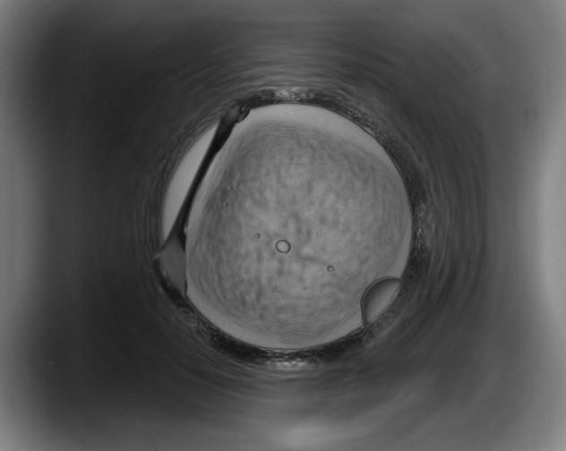 X0000087590650200705251902