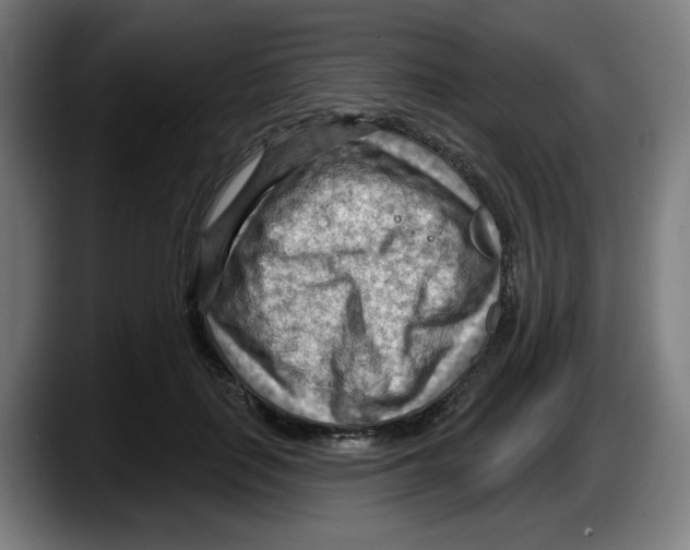 X0000087590651200705251902