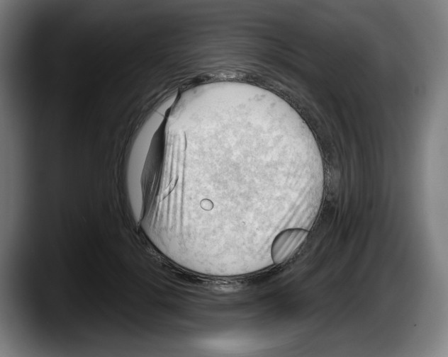 X0000087590652200705251902