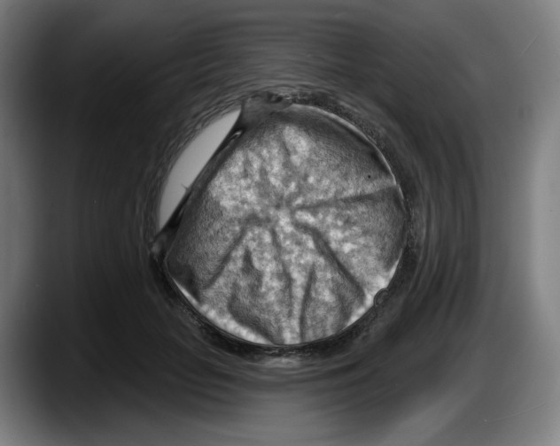 X0000087590653200705251902