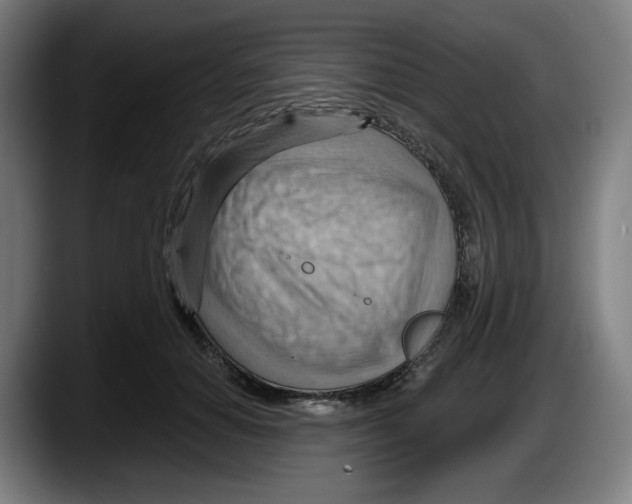 X0000087590654200705251902
