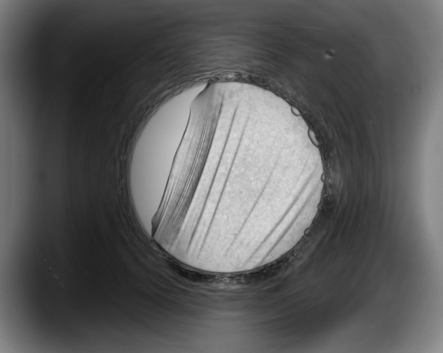 X0000087590656200705251902