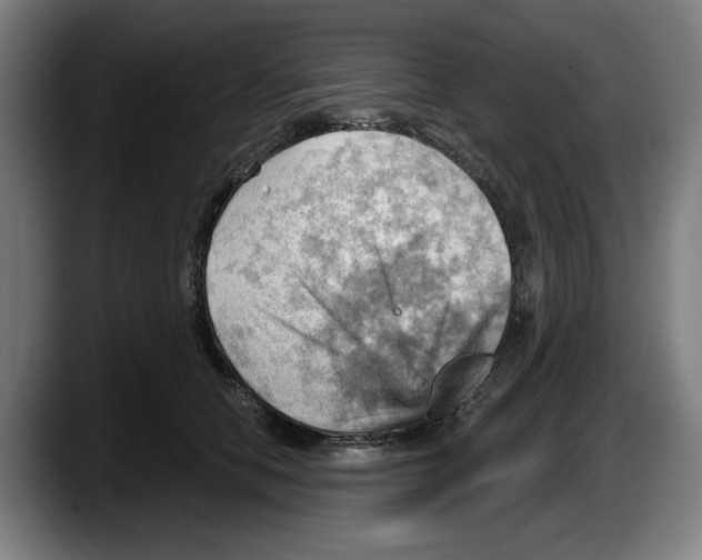 X0000087590658200705251902
