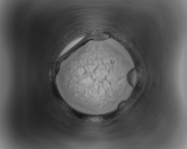 X0000087590659200705251902