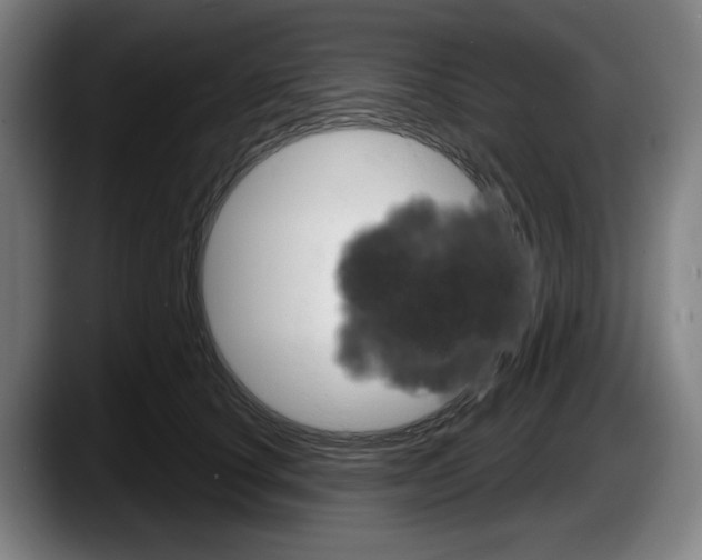X0000087590660200705251902