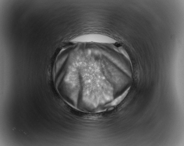 X0000087590661200705251902