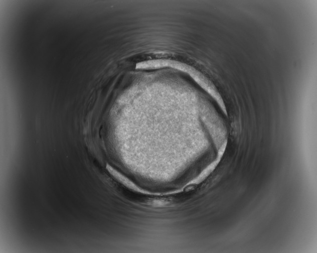 X0000087590662200705251902