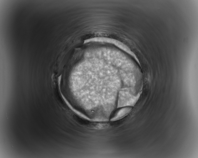 X0000087590663200705251902