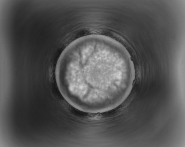 X0000087590667200705251903