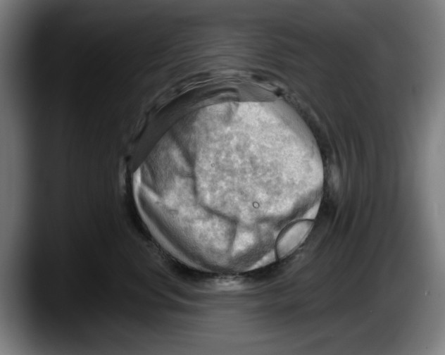 X0000087590668200705251903