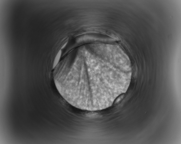 X0000087590669200705251903