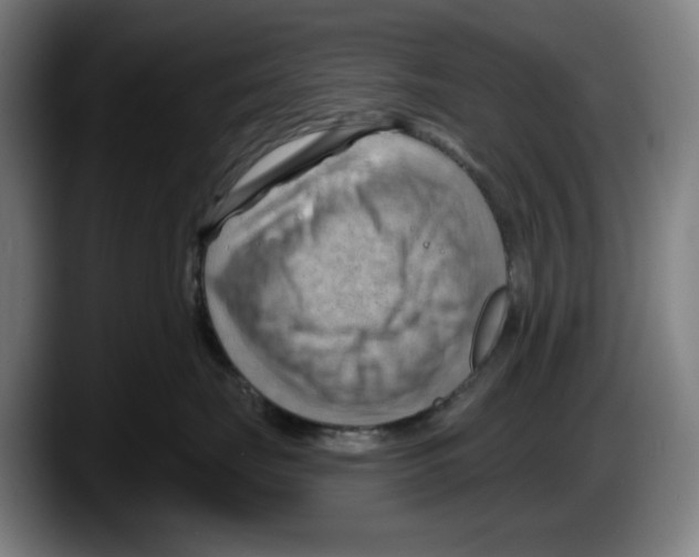 X0000087590671200705251903