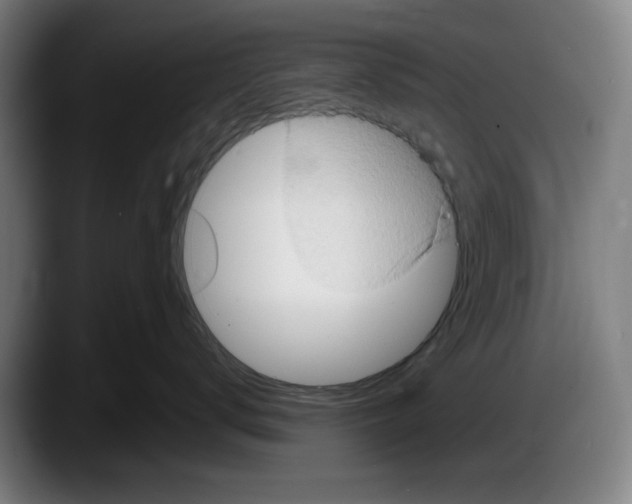 X0000087590672200705251903
