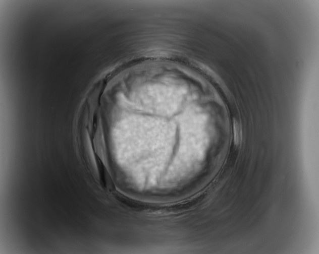 X0000087590675200705251902