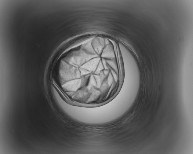 X0000087590676200705251902
