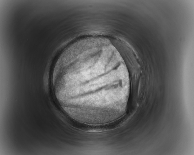 X0000087590677200705251902
