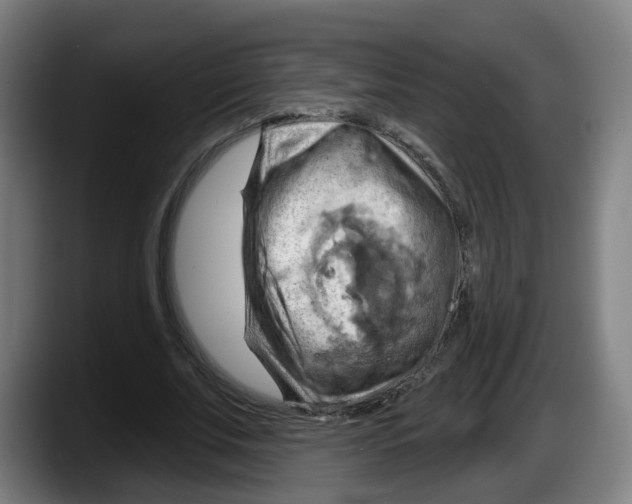 X0000087590679200705251902