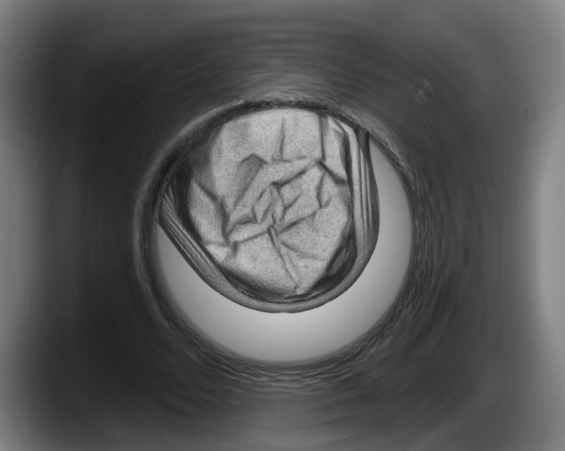 X0000087590680200705251902