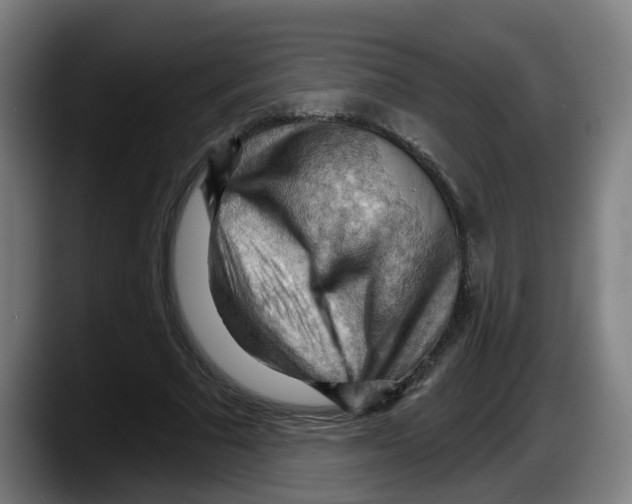 X0000087590681200705251902
