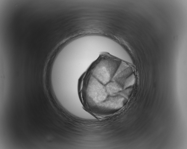 X0000087590684200705251902