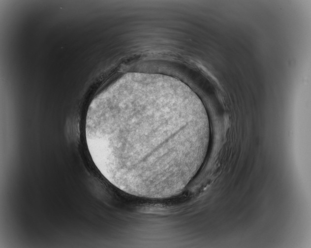 X0000087590685200705251902