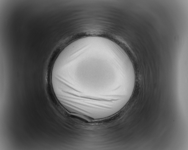 X0000087590686200705251902