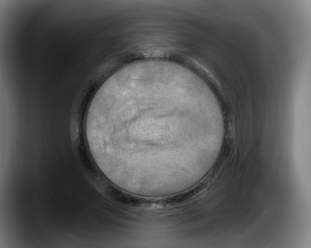 X0000087590687200705251902