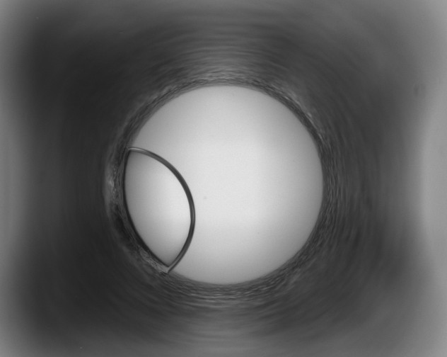 X0000087590688200705251902