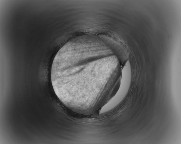 X0000087590689200705251902