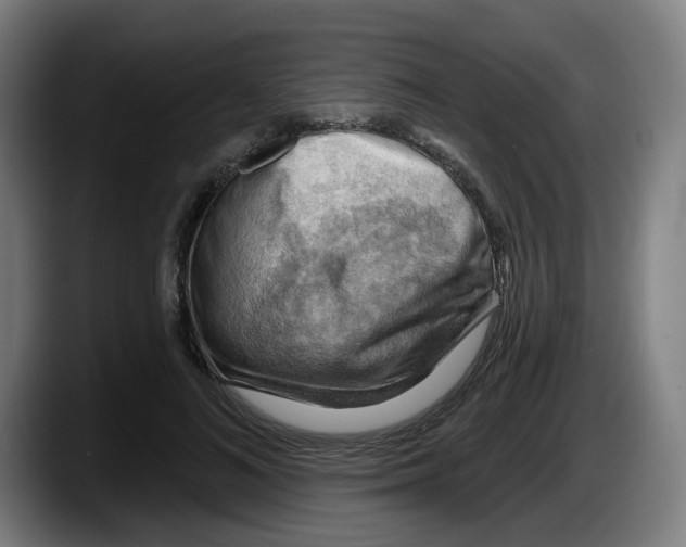 X0000087590692200705251902