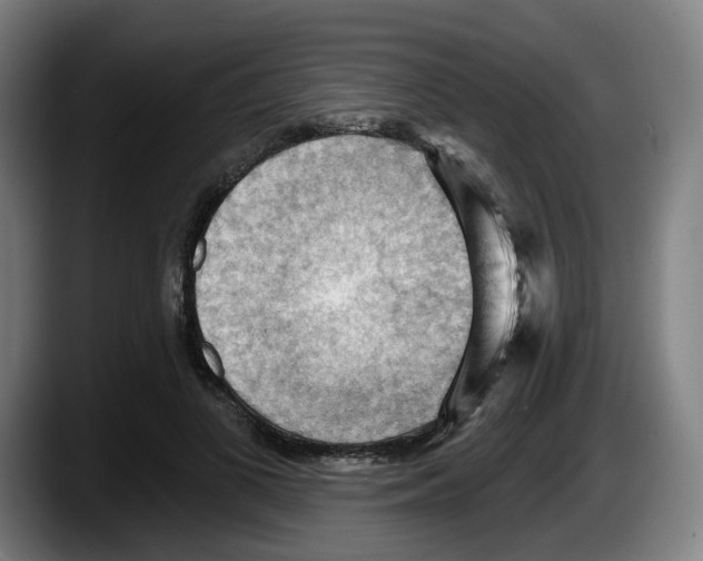 X0000087590693200705251902