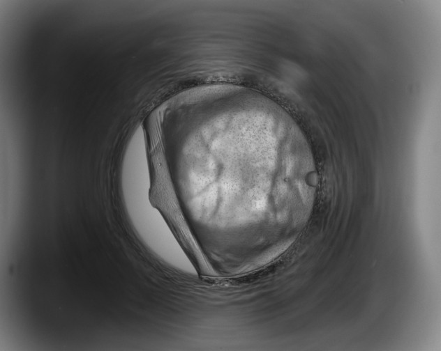 X0000087590695200705251902