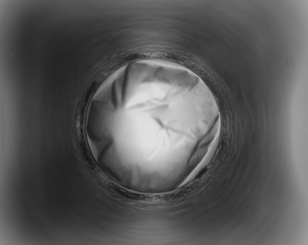 X0000087590696200705251902