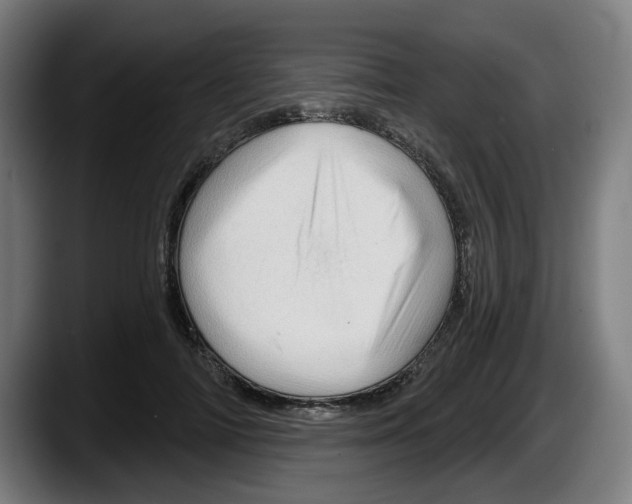 X0000087590698200705251902