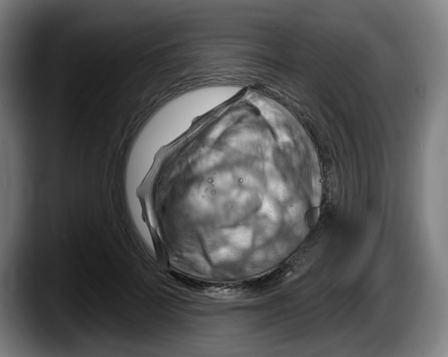 X0000087590699200705251902