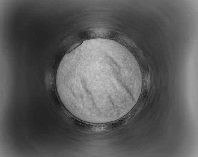 X0000087590701200705251902