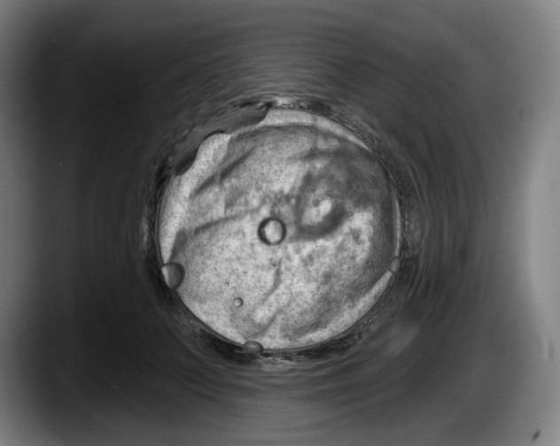 X0000087590703200705251902