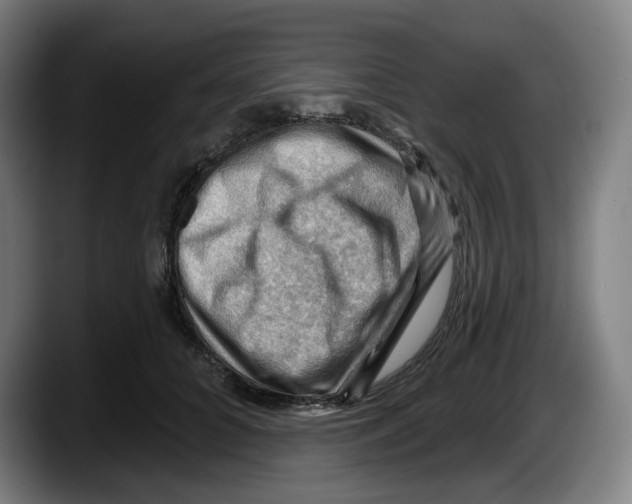 X0000087590704200705251902