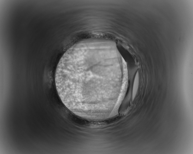 X0000087590707200705251902