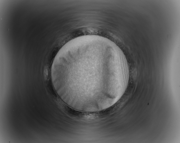 X0000087590709200705251902