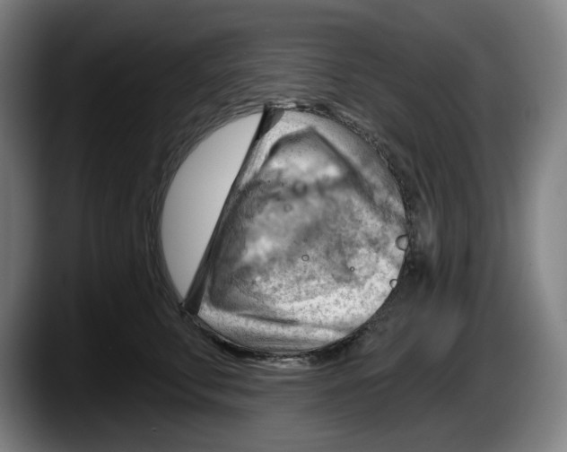 X0000087590711200705251901
