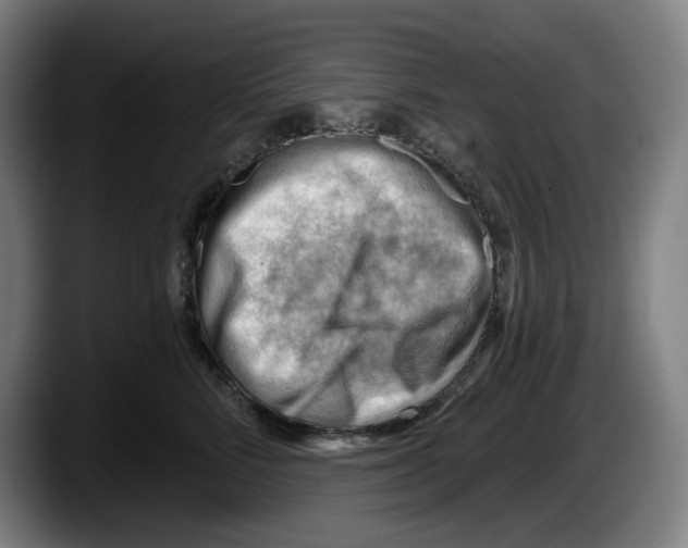 X0000087590712200705251901