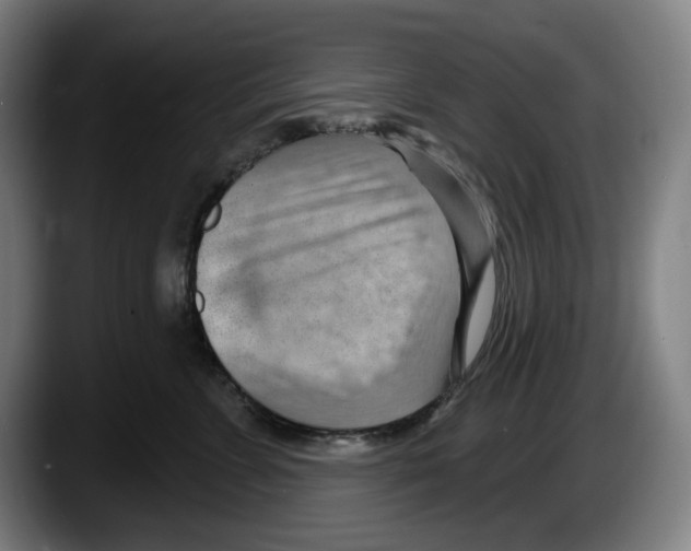 X0000087590715200705251901