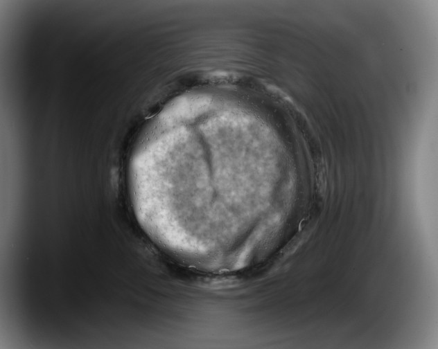 X0000087590716200705251901