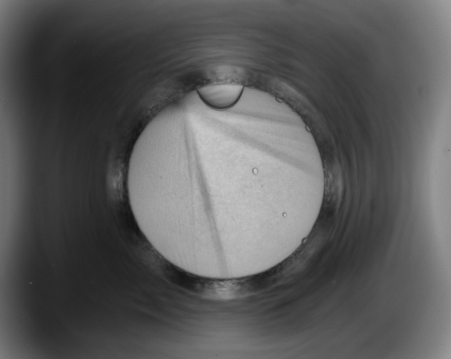 X0000087590717200705251901